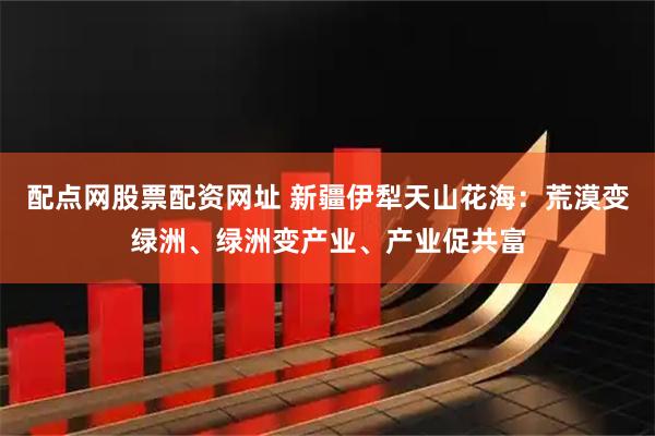 配点网股票配资网址 新疆伊犁天山花海：荒漠变绿洲、绿洲变产业、产业促共富