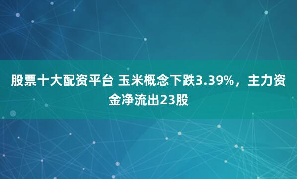 股票十大配资平台 玉米概念下跌3.39%，主力资金净流出23股